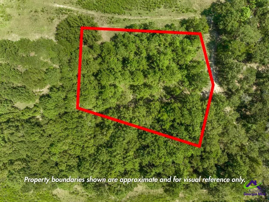 0 Mac Thompson Road, Cochran, GA 31014 - Image #1