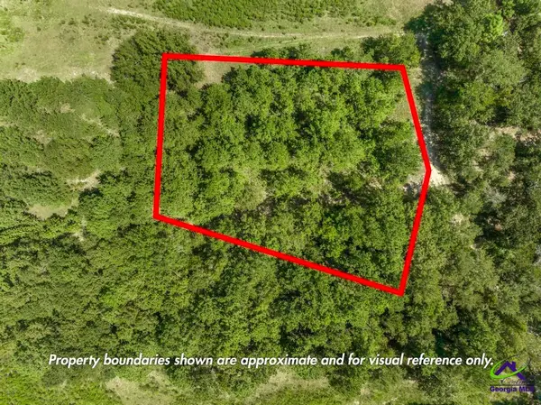 0 Mac Thompson Road, Cochran, GA 31014