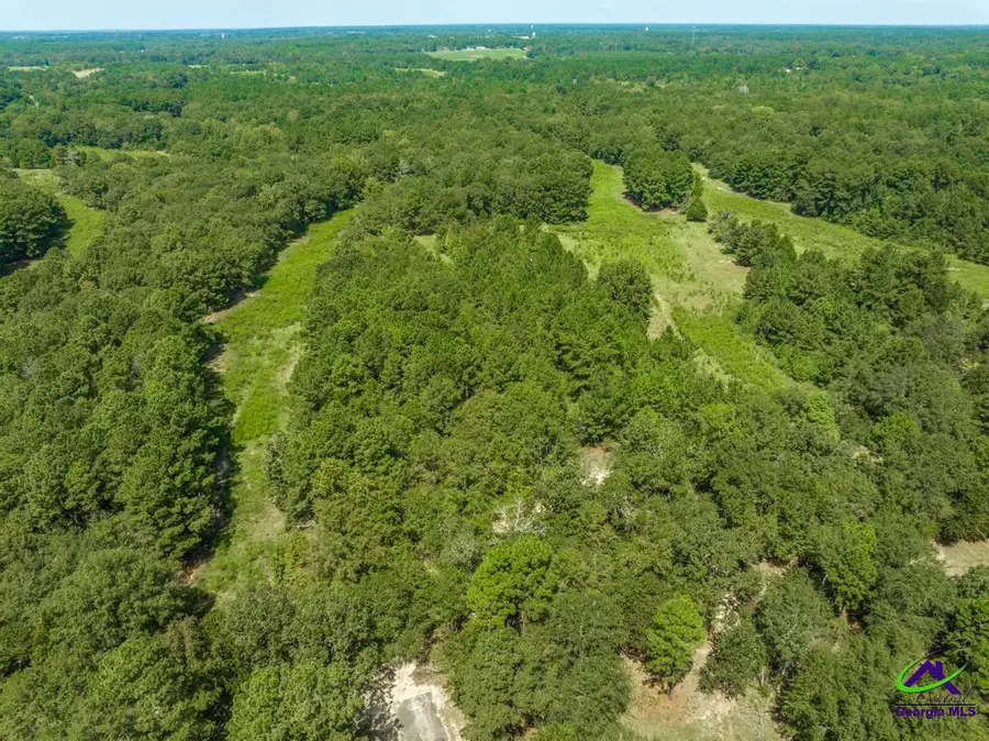 0 Mac Thompson Road, Cochran, GA 31014 - Image #3