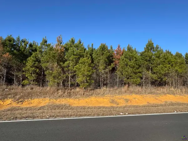 Lot 5A Whitfield Rd, Elko, GA 31025