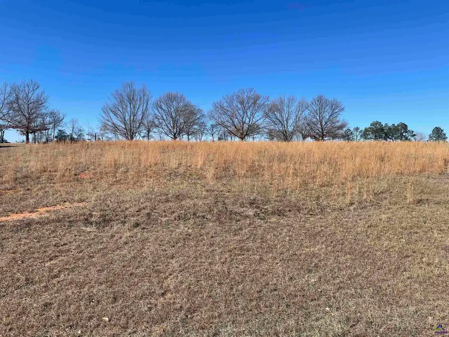 Lot 16 Camden Way, Hawkinsville, GA 31036 - Image #3