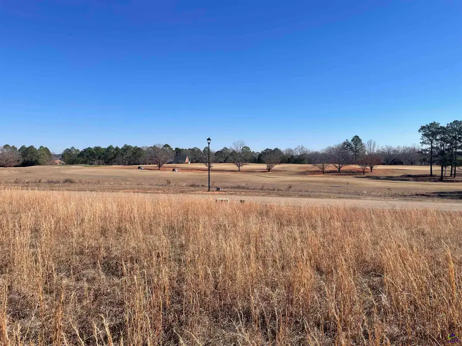 lot 17 Camden Way, Hawkinsville, GA 31036 - Image #2