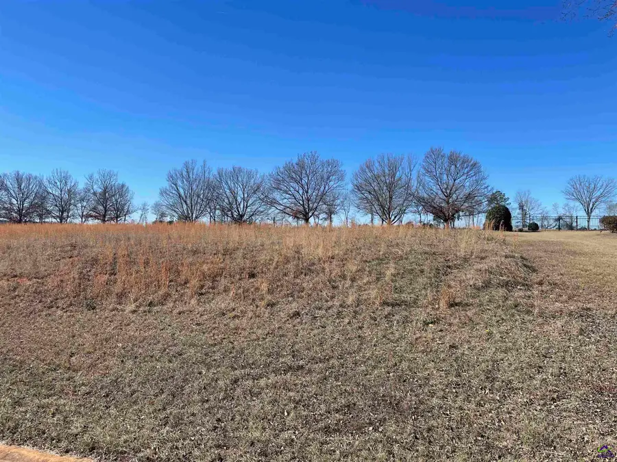 lot 17 Camden Way, Hawkinsville, GA 31036 - Image #3