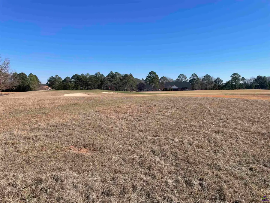 Lot 4 Camden Way, Hawkinsville, GA 31036 - Image #3