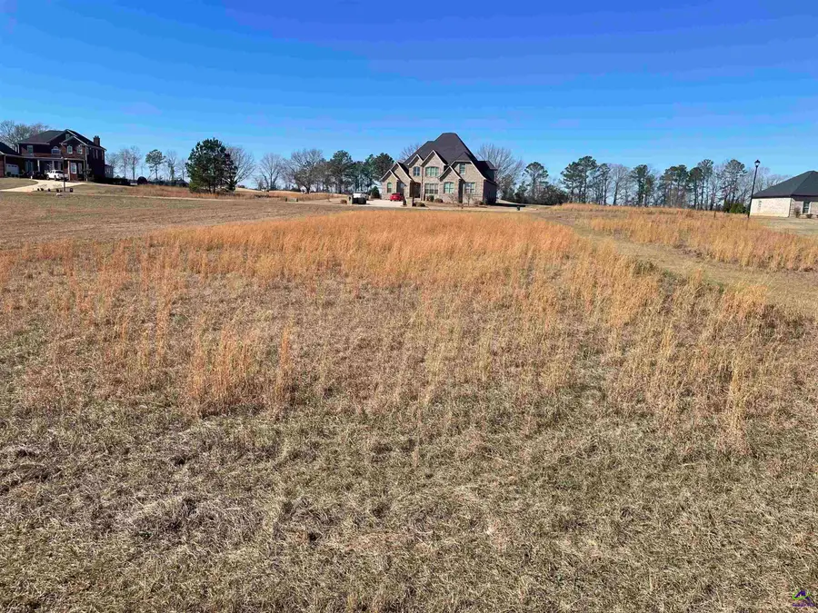 Lot 35 Crabapple Dr, Hawkinsville, GA 31036 - Image #2