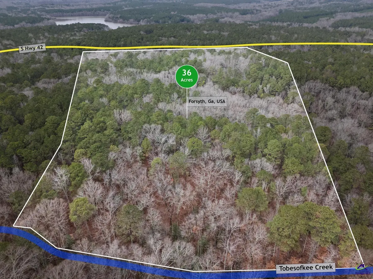 0 S 42 Highway, Forsyth, GA 31029 - Image #1