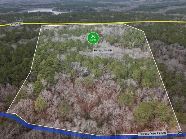 0 S 42 Highway, Forsyth, GA 31029