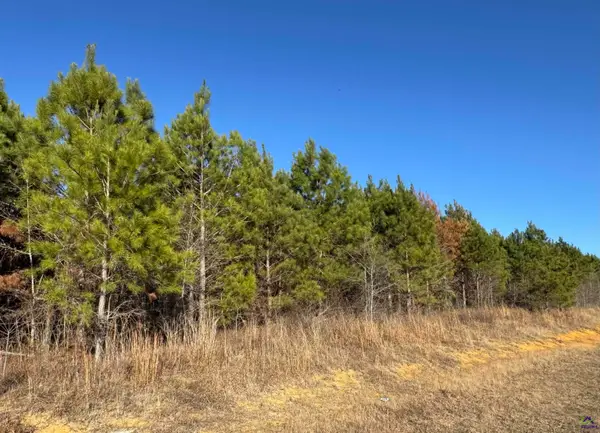 Lot 7A Whitfield Rd, Elko, GA 31025