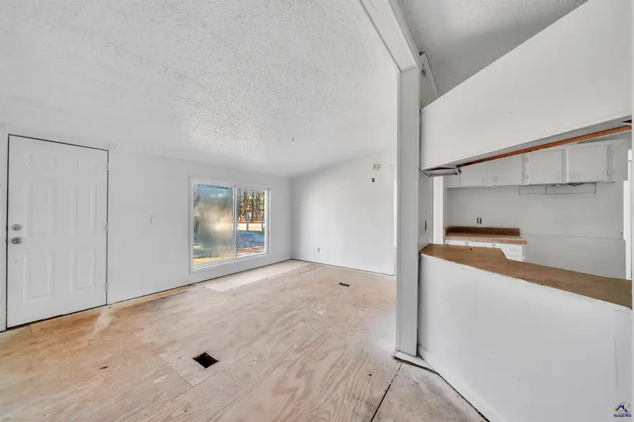 274 Henson Road, Hawkinsville, GA 31036 - Image #3