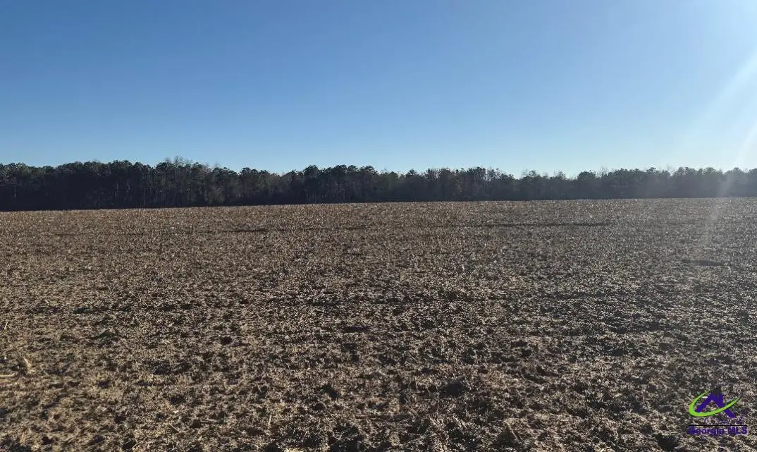 0 Whitfield Road, Elko, GA 31025 - #1