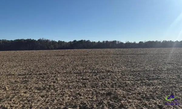 0 Whitfield Road, Elko, GA 31025