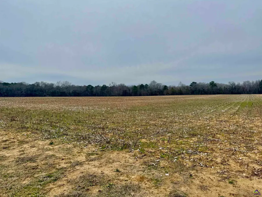 0 Whitfield Road, Elko, GA 31025 - #2