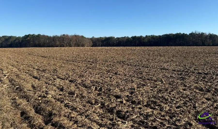 0 Whitfield Road, Elko, GA 31025 - #3