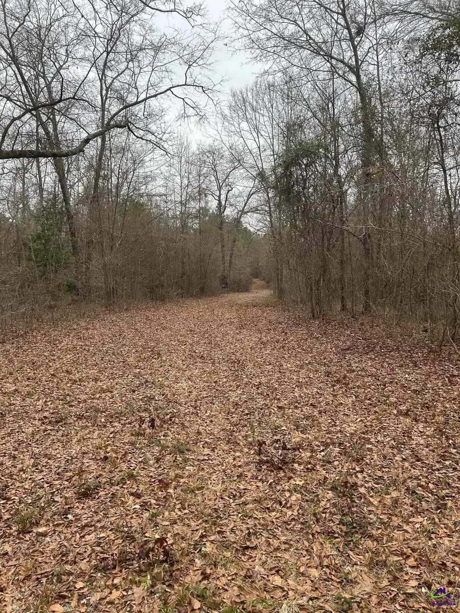 1163 Old Ideal Road, Oglethorpe, GA 31068 - #3