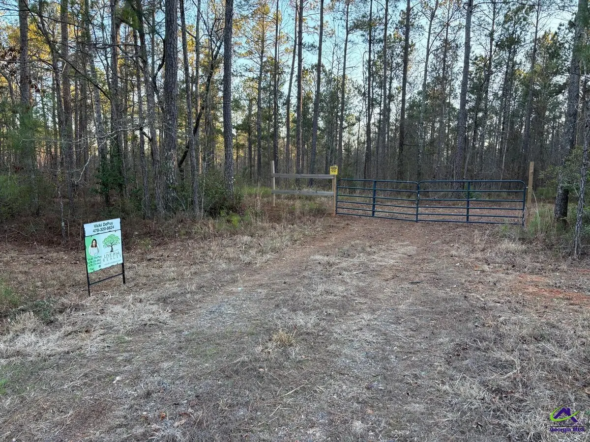 1351 Dixon Road, Roberta, GA 31078 - Image #1