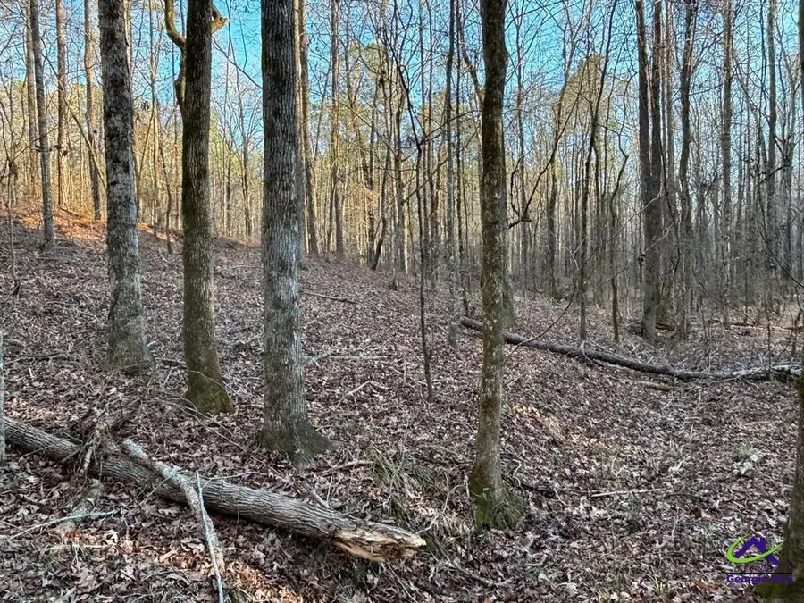 1351 Dixon Road, Roberta, GA 31078 - Image #2