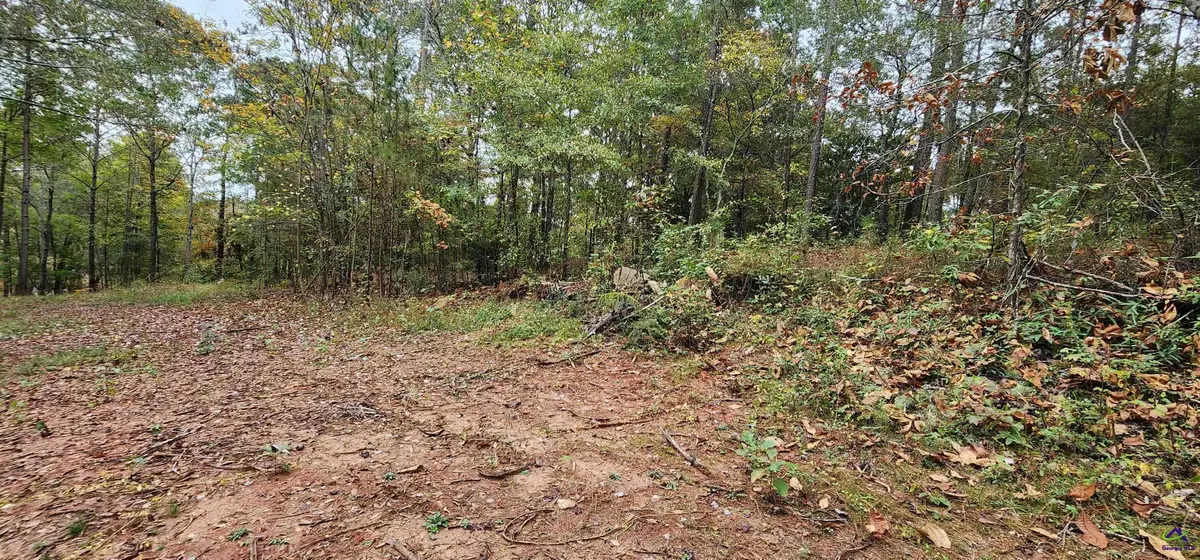 18 E Mourning Dove Court, Monticello, GA 31064 - #1