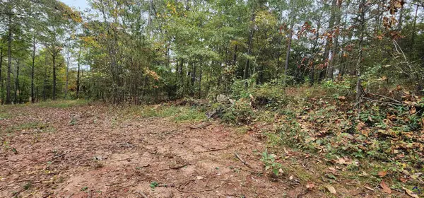 18 E Mourning Dove Court, Monticello, GA 31064