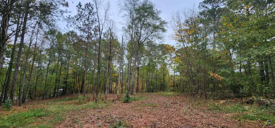 18 E Mourning Dove Court, Monticello, GA 31064 - #2