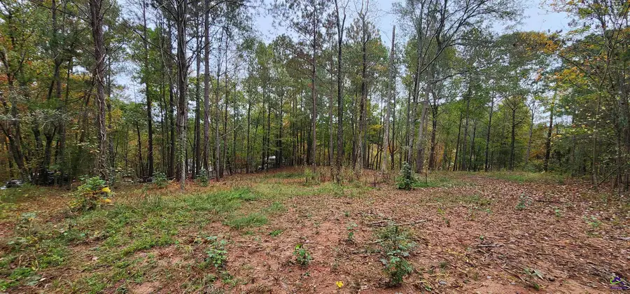 18 E Mourning Dove Court, Monticello, GA 31064 - #3