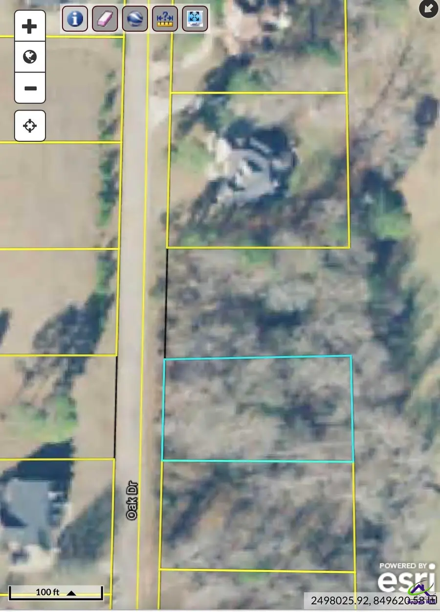 Lot 10 Oak Drive, Hawkinsville, GA 31028 - #3