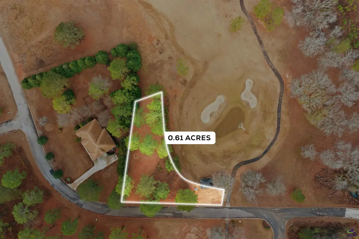 0 Crabapple Drive, Hawkinsville, GA 31036 - #1