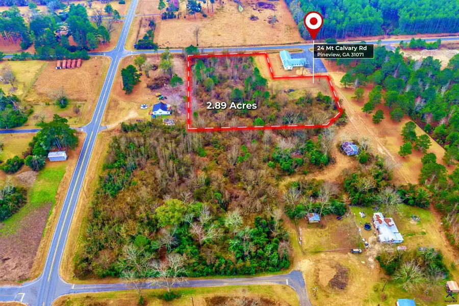 0 Mt Calvery Church Road, Hawkinsville, GA 31036 - Image #2