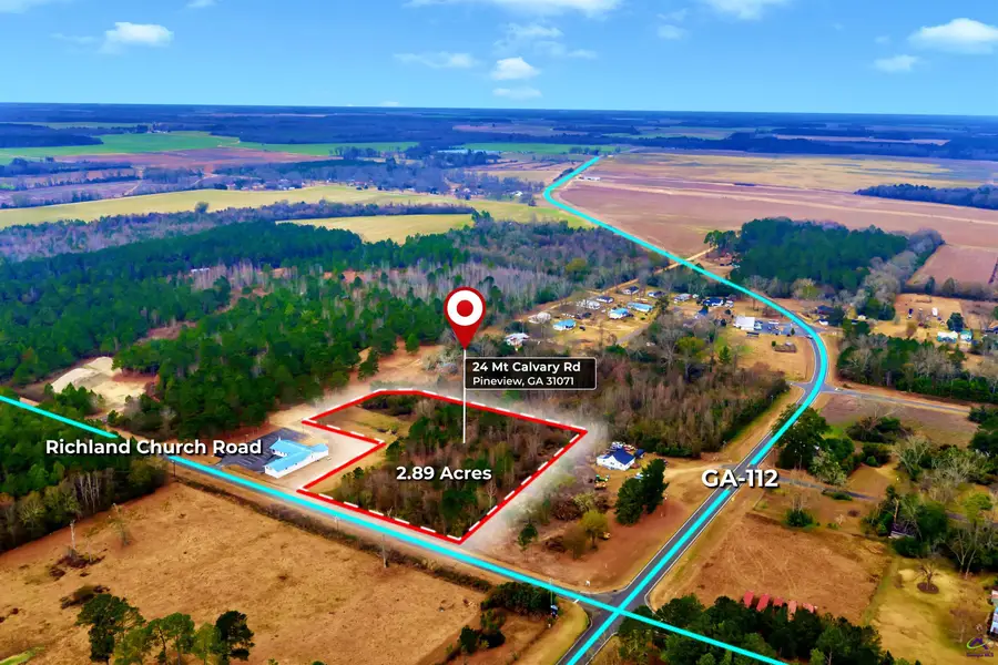 0 Mt Calvery Church Road, Hawkinsville, GA 31036 - Image #3