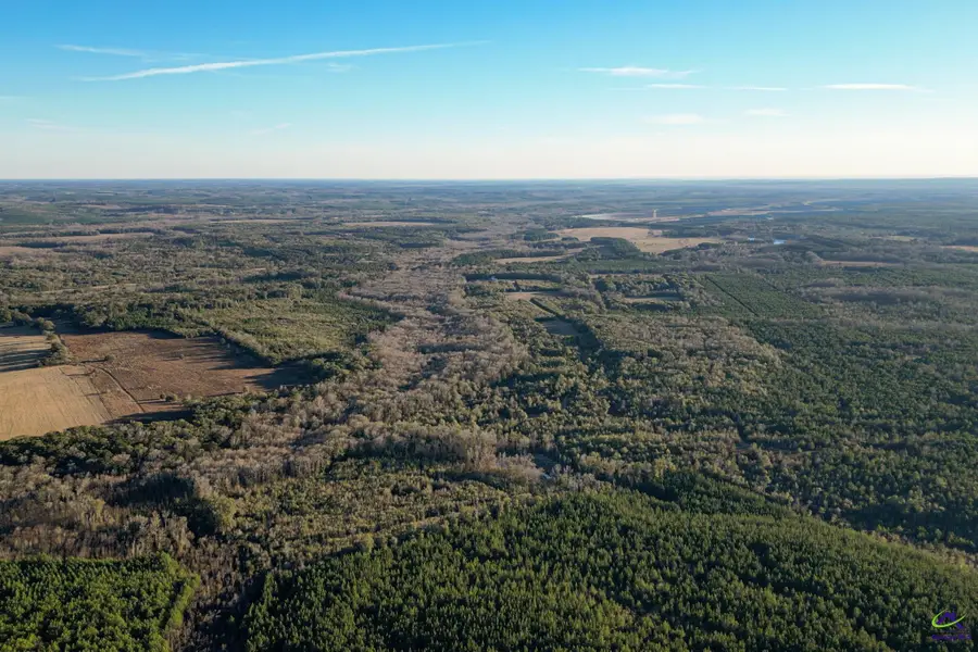 9036 Bullard Road, Dry Branch, GA 31020 - #3