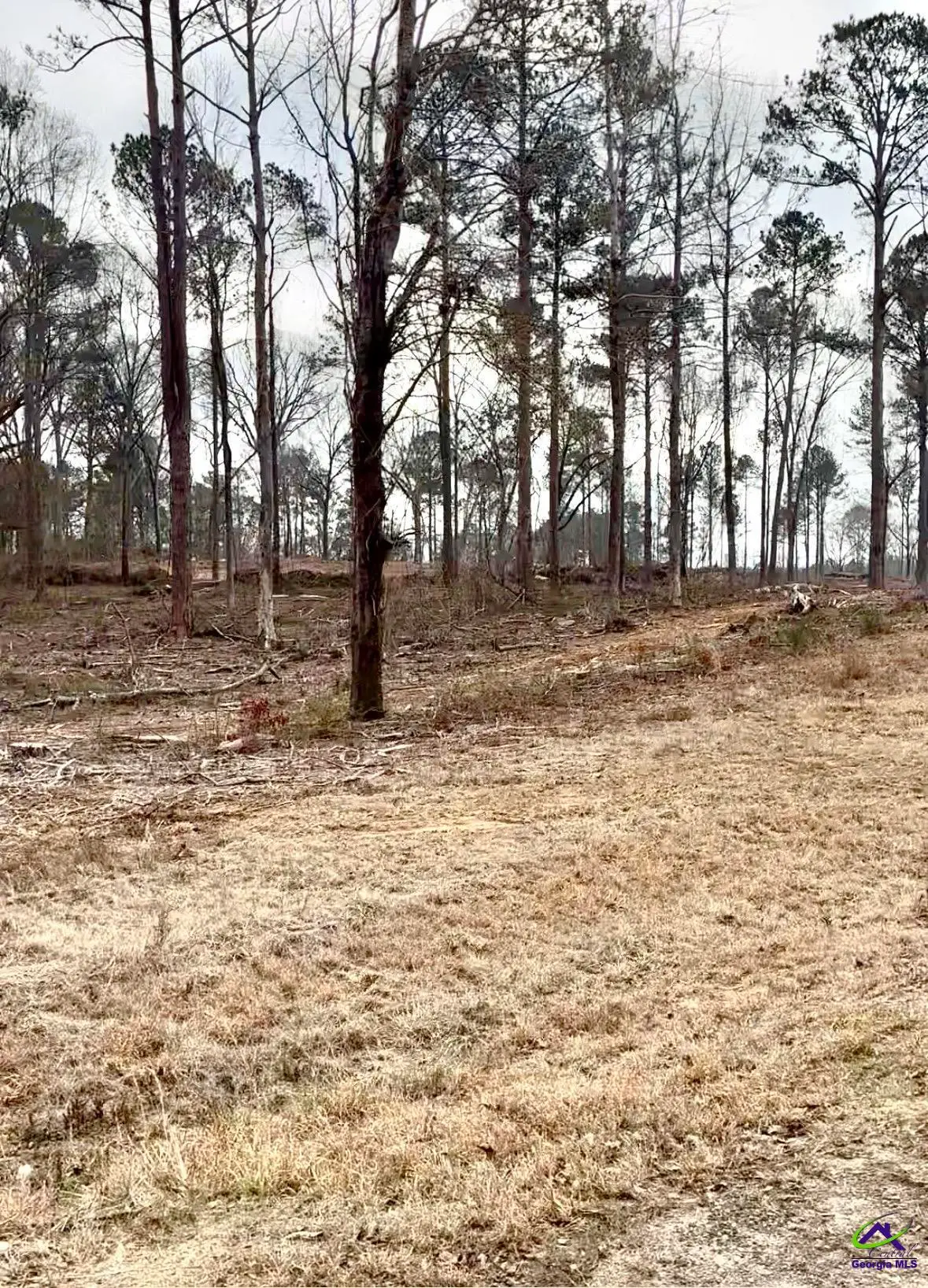 8290 Lower Thomaston Rd, Macon, GA 31220 - #1