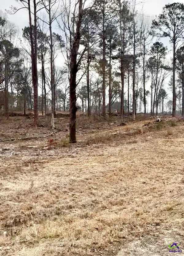 8290 Lower Thomaston Rd, Macon, GA 31220