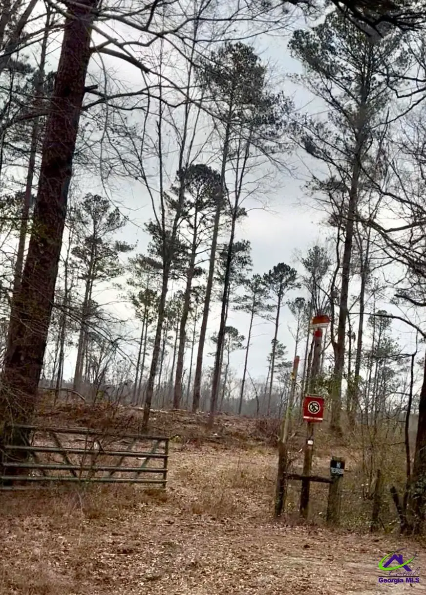 8290 Lower Thomaston Rd, Macon, GA 31220 - #2