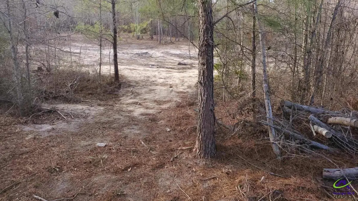 0 Hwy 19, Dublin, GA 31021 - #1