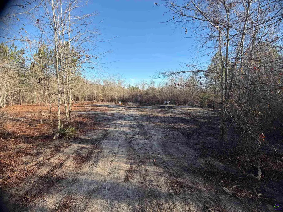 0 Hwy 19, Dublin, GA 31021 - #2