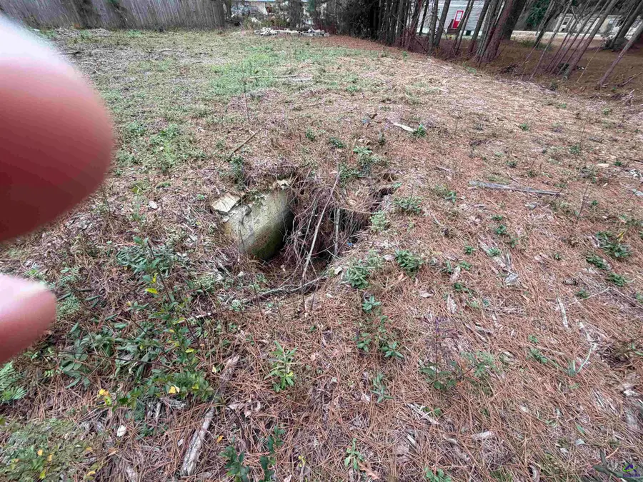 109 Persimmon Drive, Kathleen, GA 31047 - #3