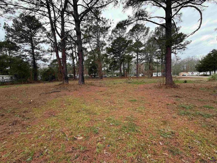 111 Persimmon Drive, Kathleen, GA 31047 - #2