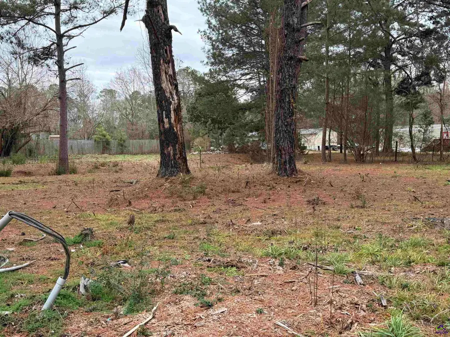 111 Persimmon Drive, Kathleen, GA 31047 - #3