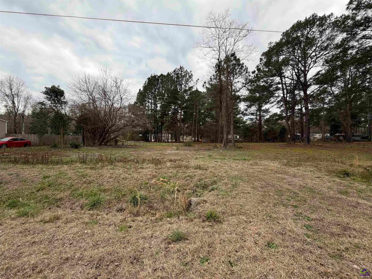 107 Persimmon Drive, Kathleen, GA 31047 - #1