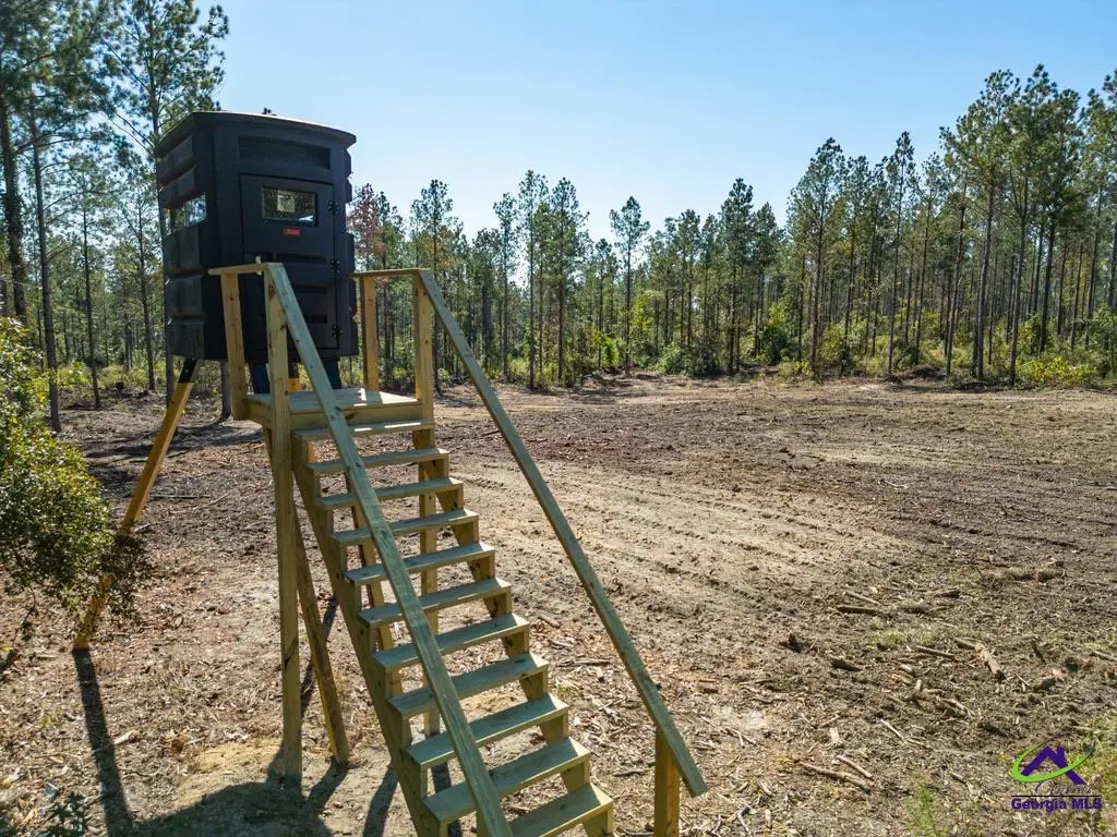 OHP Dominy Road, Toomsboro, GA 31090 - #1