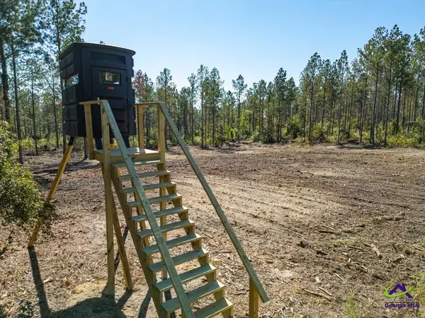 OHP Dominy Road, TOOMSBORO, GA 31090