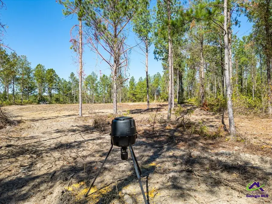 OHP Dominy Road, Toomsboro, GA 31090 - #2