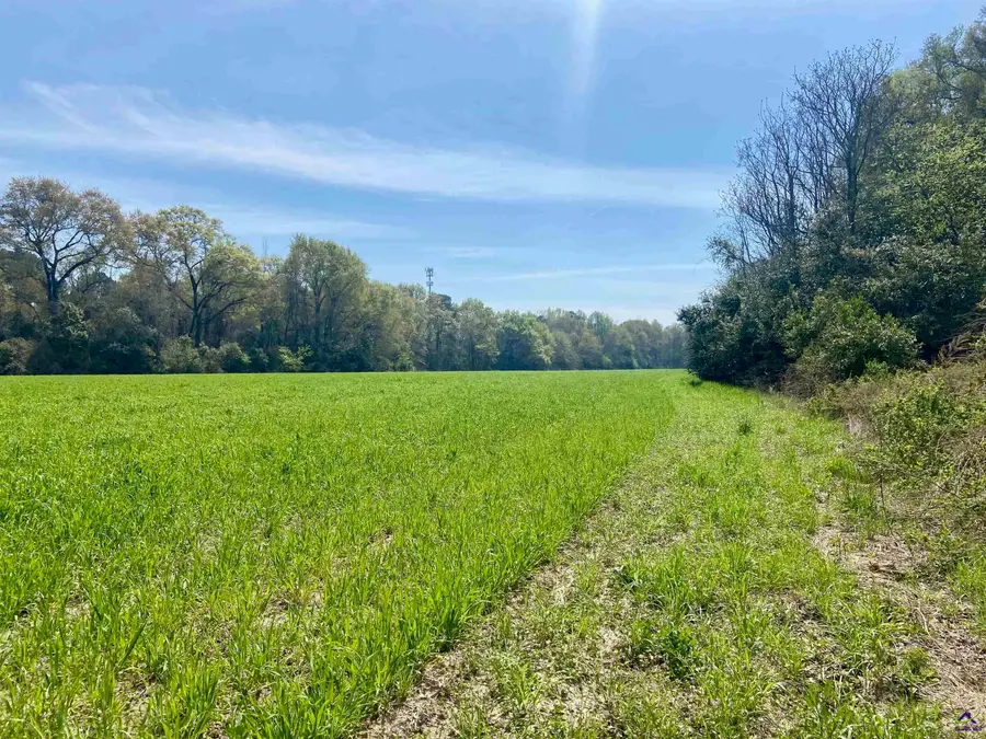 Moseley Road, Byron, GA 31008 - #3