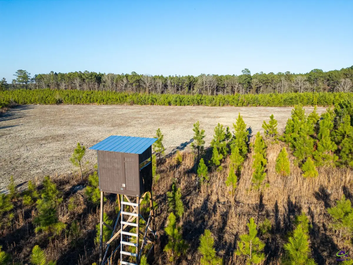 733 Chester-Cochran Highway, Chester, GA 31012 - #1