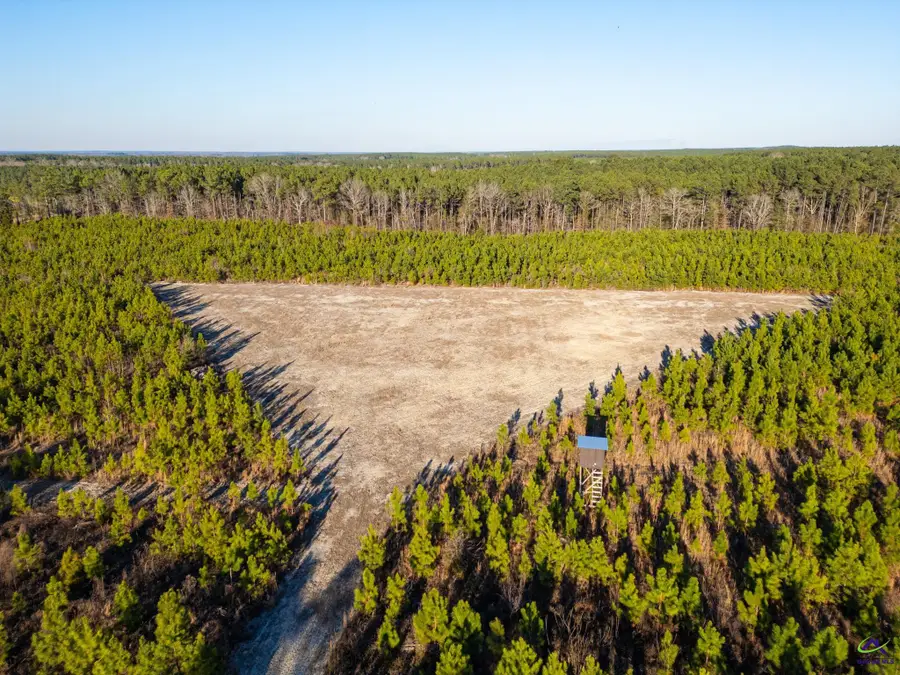 733 Chester-Cochran Highway, Chester, GA 31012 - #2