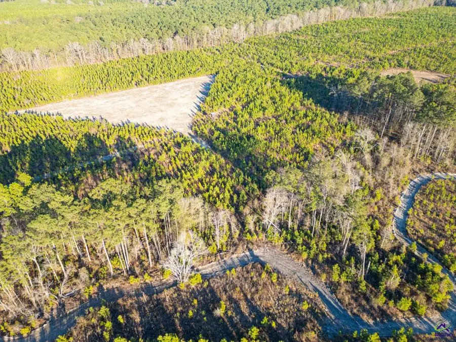 733 Chester-Cochran Highway, Chester, GA 31012 - #3