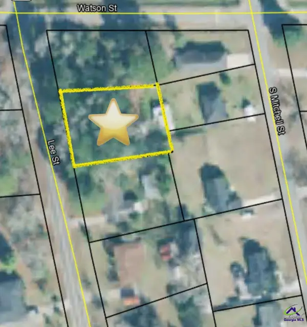 Lee Street Lot 2, Hawkinsville, GA 31036