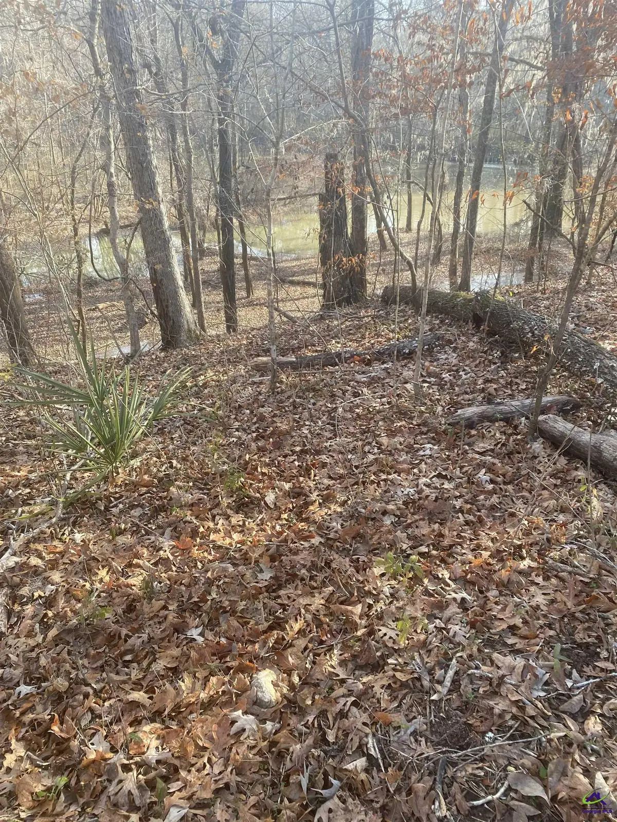 27 Charleston Circle, Hawkinsville, GA 31036 - #1