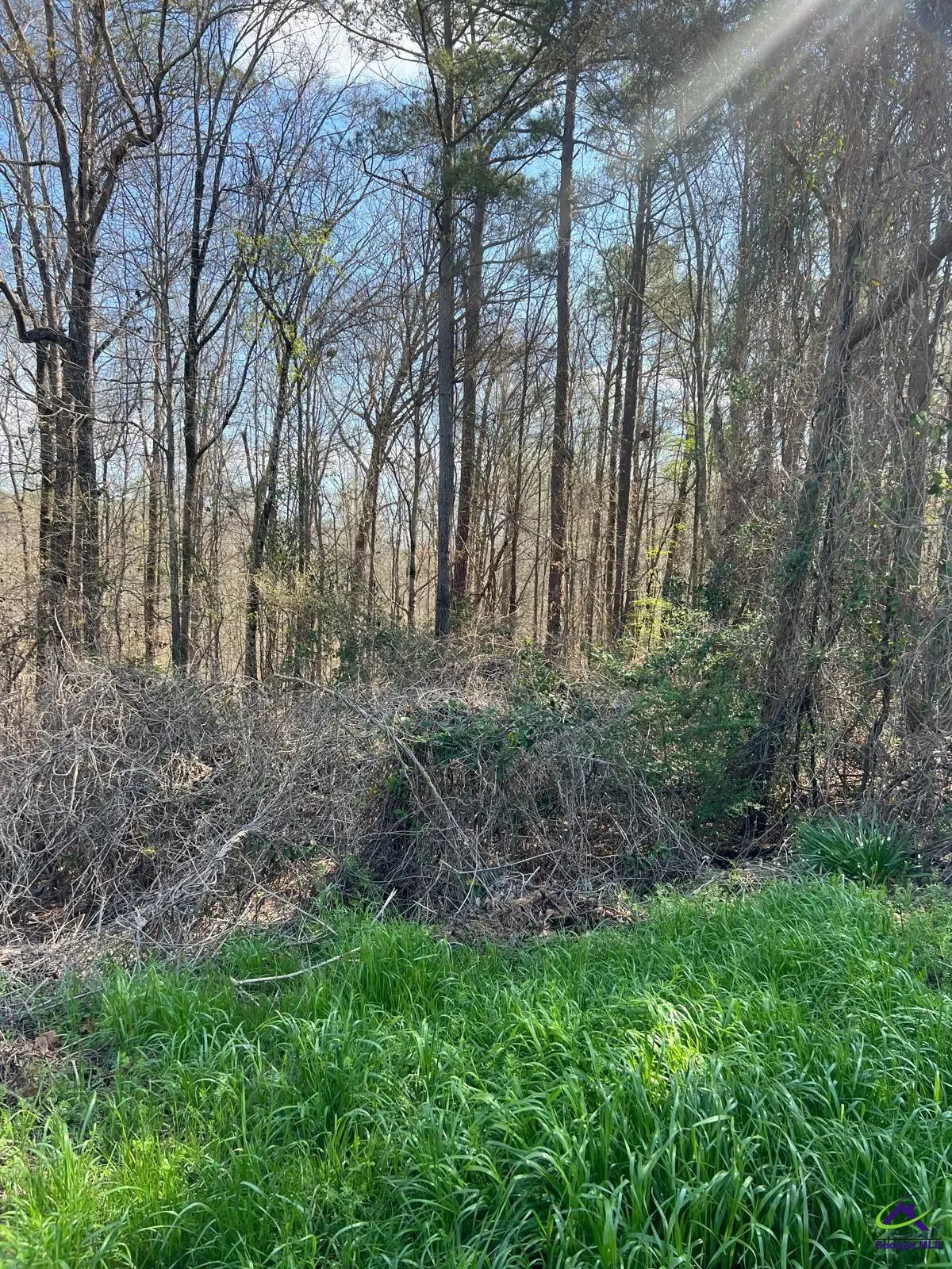 250 Northridge Drive, Macon, GA 31220 - #1