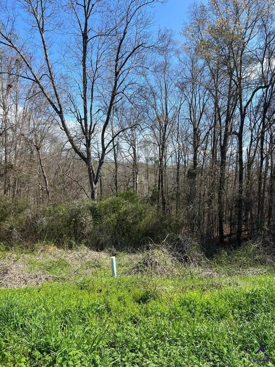 250 Northridge Drive, Macon, GA 31220 - #2