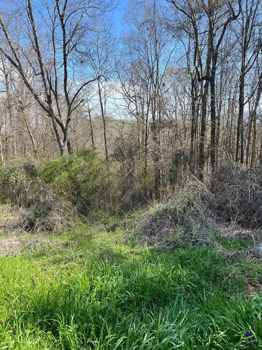 250 Northridge Drive, Macon, GA 31220 - #3